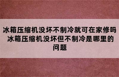 冰箱压缩机没坏不制冷就可在家修吗 冰箱压缩机没坏但不制冷是哪里的问题